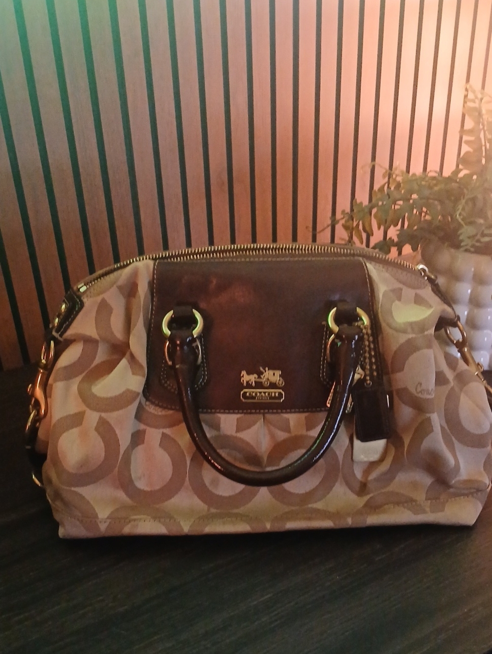 Coach Signature Canvas Satchel Bag in Brown
